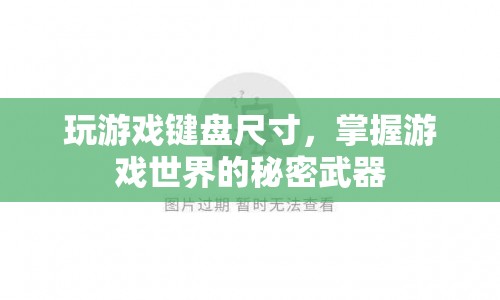 游戲鍵盤尺寸，掌握游戲世界的秘密武器