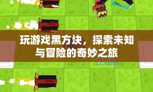 探索未知與冒險的奇妙之旅，黑方塊游戲
