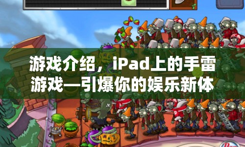 iPad手雷游戲，引爆娛樂新體驗(yàn)