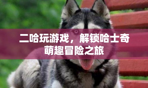 二哈解鎖萌趣冒險(xiǎn)之旅