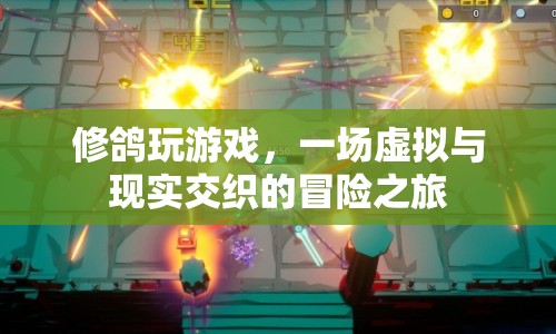 修鴿的虛擬冒險(xiǎn)之旅，游戲與現(xiàn)實(shí)的交織