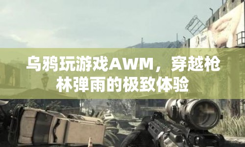 烏鴉AWM穿越槍林彈雨，極致游戲挑戰(zhàn)
