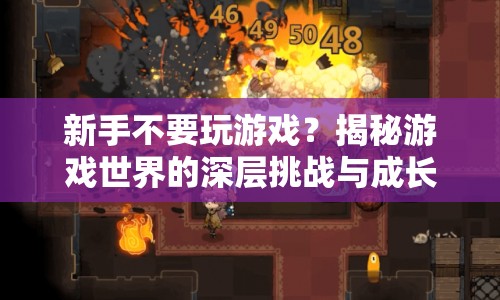 揭秘游戲世界的深層挑戰(zhàn)，新手如何踏上成長之旅