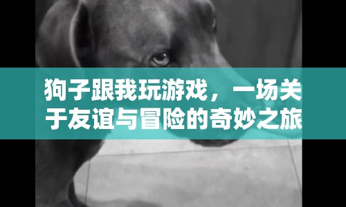 一場關(guān)于友誼與冒險的奇妙之旅，狗子與我共度歡樂時光