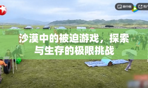 沙漠中的極限挑戰(zhàn)，被迫游戲與生存探索