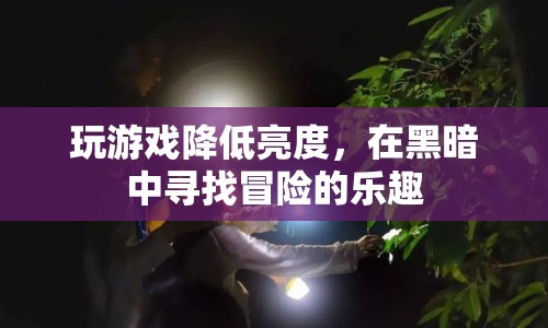 黑暗中尋找冒險(xiǎn)，降低亮度玩游戲的樂趣