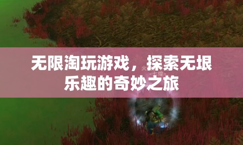 探索無(wú)限樂(lè)趣，淘玩游戲的奇妙之旅
