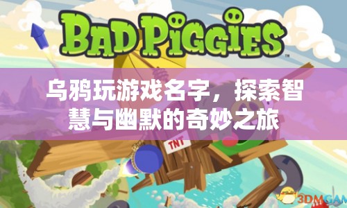 探索烏鴉的智慧與幽默，一場(chǎng)奇妙的游戲之旅