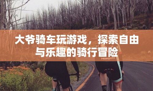 大爺騎行玩游戲，探索自由與樂趣的騎行之旅