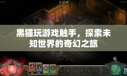 黑貓觸手探索奇幻之旅，游戲世界中的未知冒險(xiǎn)