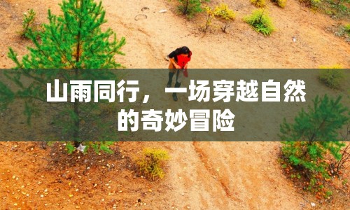 山雨同行，穿越自然的奇妙冒險之旅