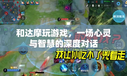 達摩游戲，一場心靈與智慧的深度對話