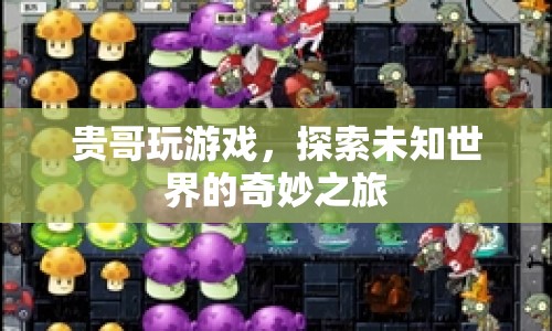貴哥探索未知世界的奇妙游戲之旅