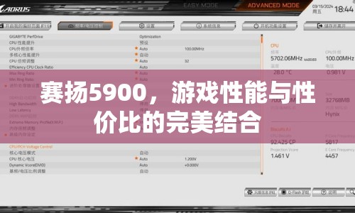 賽揚(yáng)5900，游戲性能與性價(jià)比的完美結(jié)合
