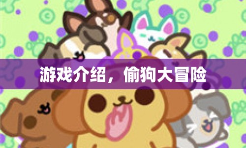 偷狗大冒險(xiǎn)，一場驚險(xiǎn)刺激的游戲之旅