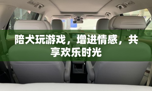 與寵物犬共度的歡樂時(shí)光，增進(jìn)情感，共享樂趣