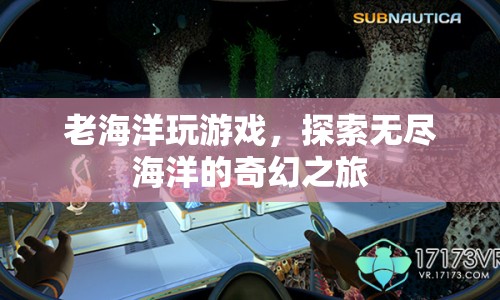 探索無盡海洋，老海洋的奇幻游戲之旅