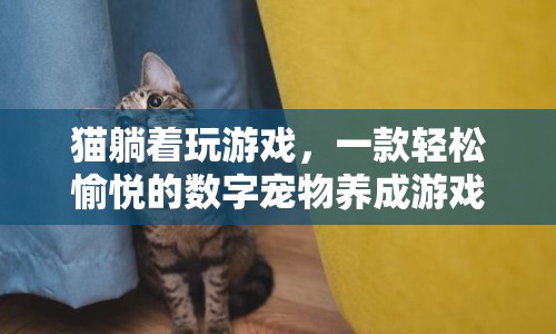 貓?zhí)芍嬗螒?，打造你的專屬?shù)字寵物養(yǎng)成之旅