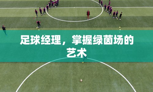 足球經(jīng)理，掌握綠茵場的藝術(shù)之道