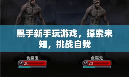 新手挑戰(zhàn)未知，黑手游戲之旅