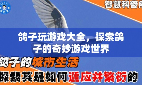 探索鴿子的奇妙游戲世界，鴿子玩游戲大全
