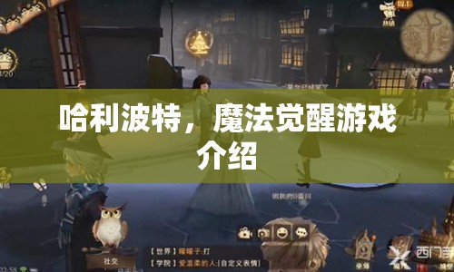 哈利波特，魔法覺醒游戲全解析