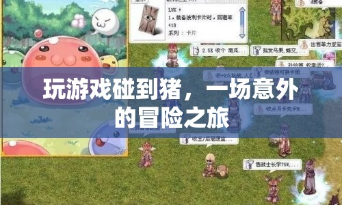 一場意外的冒險之旅，與豬共舞