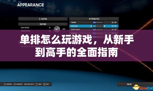 從新手到高手，單排游戲全面指南