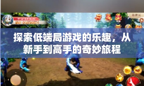 從新手到高手，探索低端局游戲的樂(lè)趣之旅