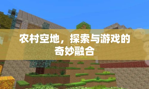 農(nóng)村空地，探索與游戲的奇妙融合