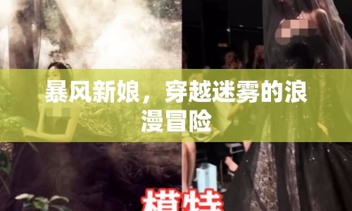 暴風(fēng)新娘，穿越迷霧的浪漫冒險之旅