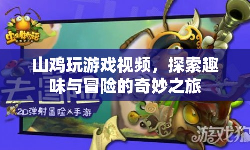 山雞玩游戲，探索趣味與冒險(xiǎn)的奇妙之旅