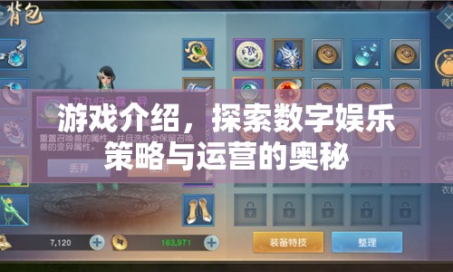 探索數(shù)字娛樂策略與運(yùn)營的奧秘，游戲介紹