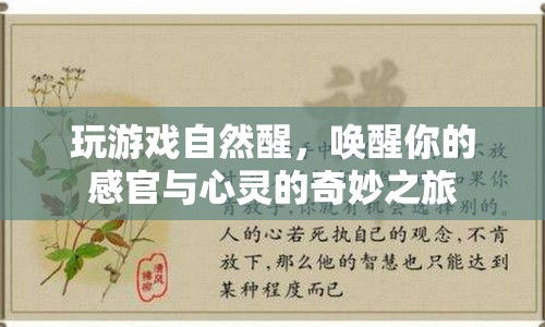 喚醒感官與心靈的奇妙之旅，玩游戲自然醒