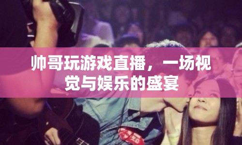 帥哥游戲直播，打造視覺與娛樂(lè)的雙重盛宴