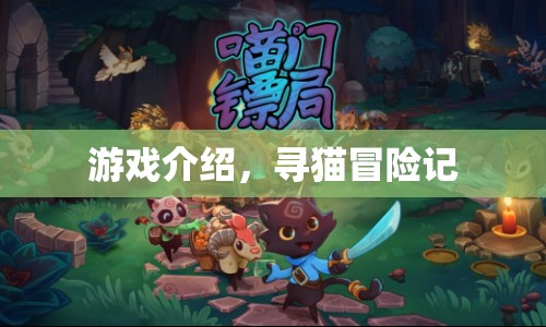 尋貓冒險(xiǎn)記，一場(chǎng)奇幻的探險(xiǎn)之旅