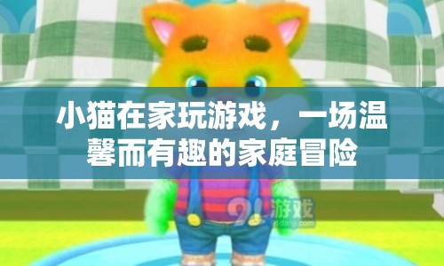 溫馨家庭冒險，小貓的家中游戲