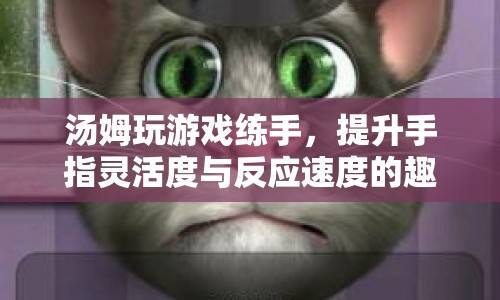 湯姆的趣味游戲之旅，提升手指靈活度與反應(yīng)速度