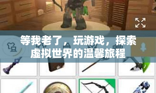 探索虛擬世界的溫馨旅程，老年游戲之旅