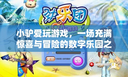 小驢的數(shù)字樂園冒險(xiǎn)之旅