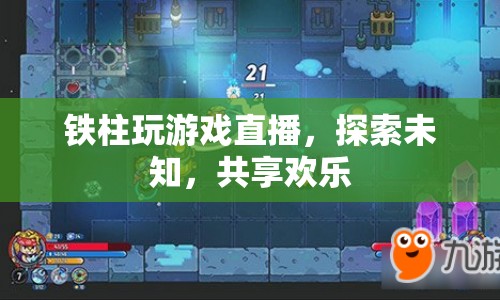 鐵柱游戲直播，探索未知，共享歡樂