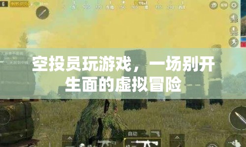 空投員游戲，虛擬冒險(xiǎn)的別樣體驗(yàn)