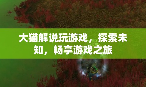 大貓帶你暢游未知，探索游戲之旅