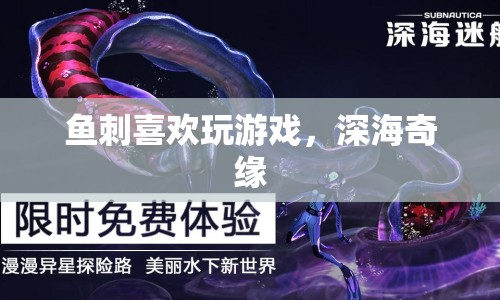 魚刺的深海奇緣，游戲之旅