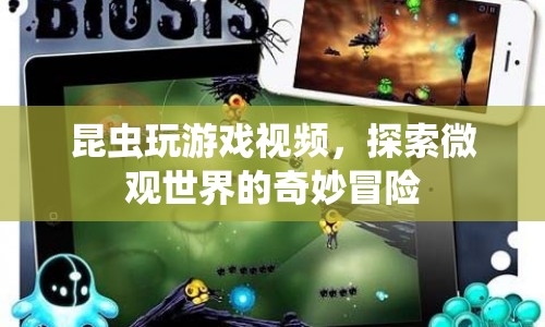 昆蟲游戲，微觀世界的奇妙冒險