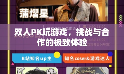 雙人PK，挑戰(zhàn)與合作的極致游戲體驗