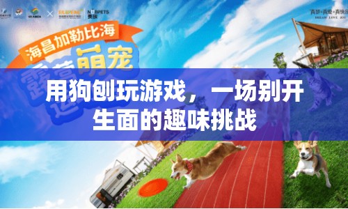 狗刨式游泳挑戰(zhàn)，趣味橫生，挑戰(zhàn)不斷