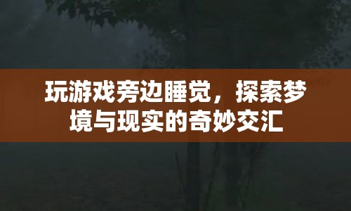 游戲與夢境，探索交匯的奇妙體驗(yàn)
