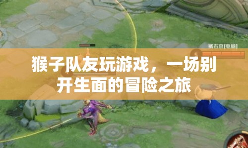 猴子隊友的冒險之旅，一場別開生面的游戲盛宴