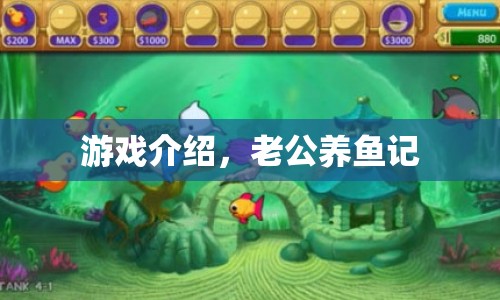 老公養(yǎng)魚記，趣味游戲介紹